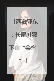 西藏亚东：长尾叶猴下山“会客”